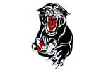 Augsburger Panther
